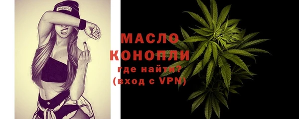 твердый Михайловск