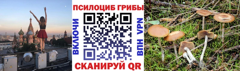 сайты даркнета клад  Краснодар  Галлюциногенные грибы прущие грибы 