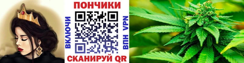 omg как зайти  Краснодар  МАРИХУАНА план 